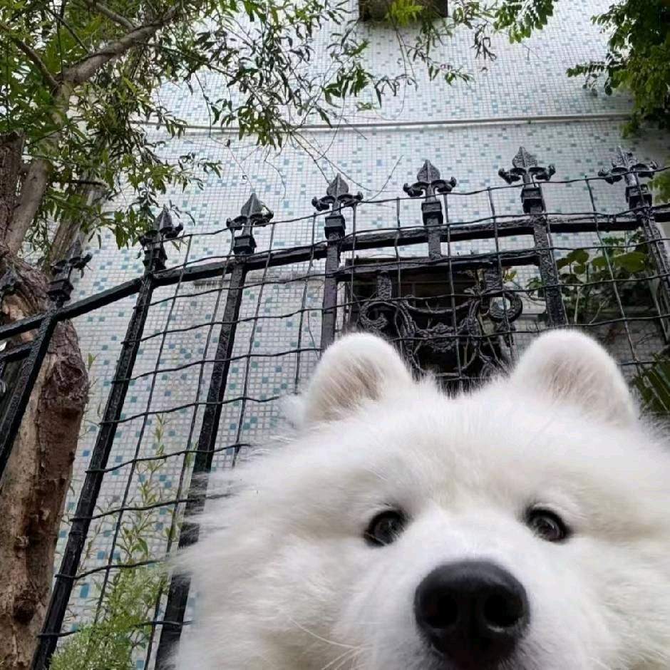小鹿乱撞吖