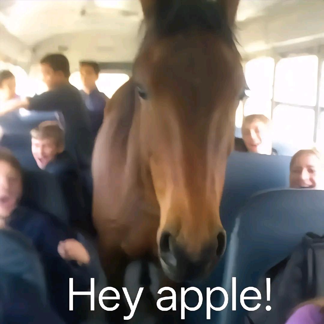 牢🐴