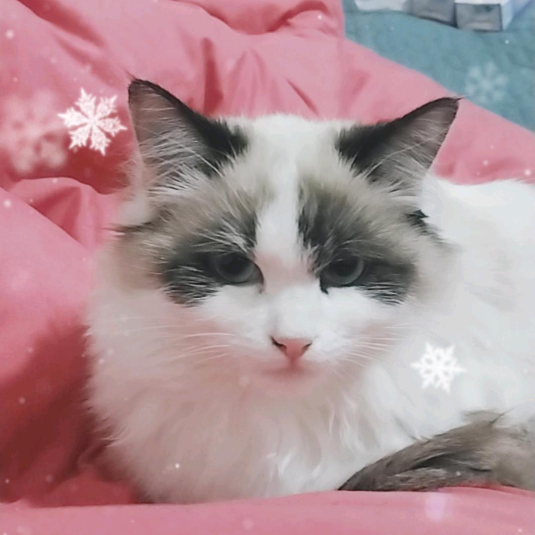 多点（勿连赞）