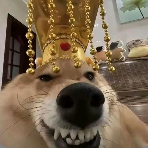 一木