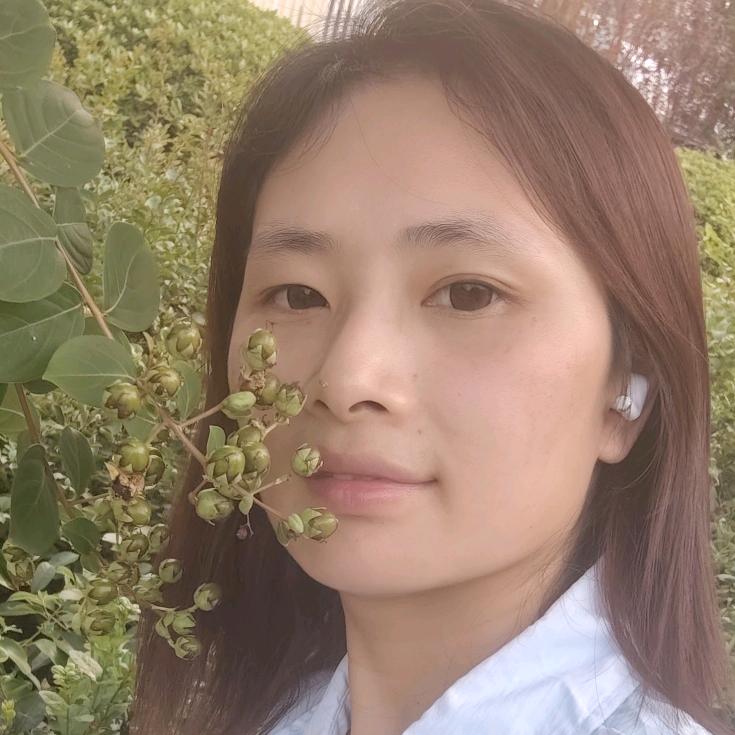 阿彤木百货