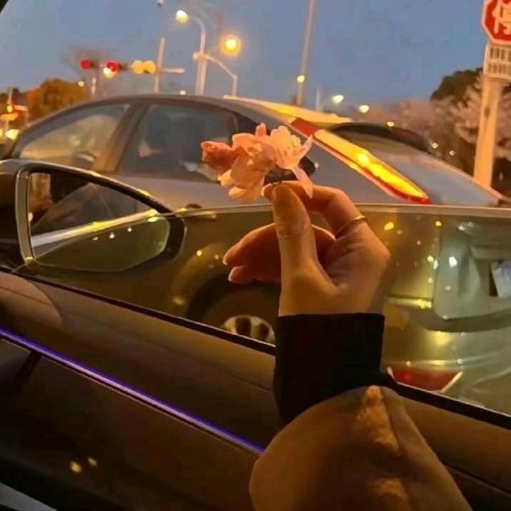 @༺💰爱财໊ཀྃ爱己এ᭄