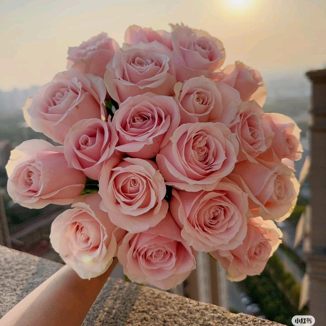 斗南基地鲜花批发