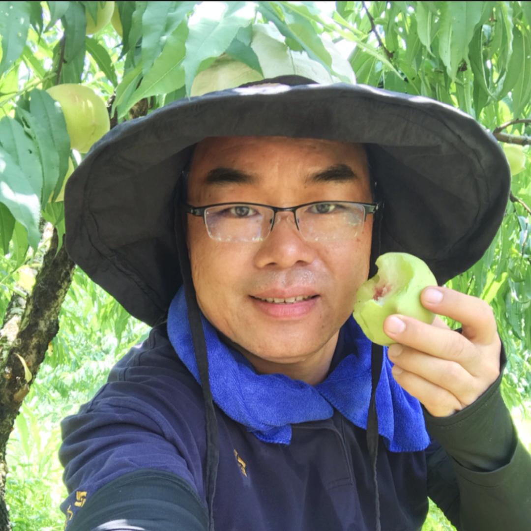 东江新农人