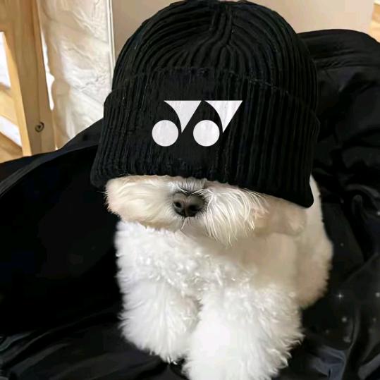 序言