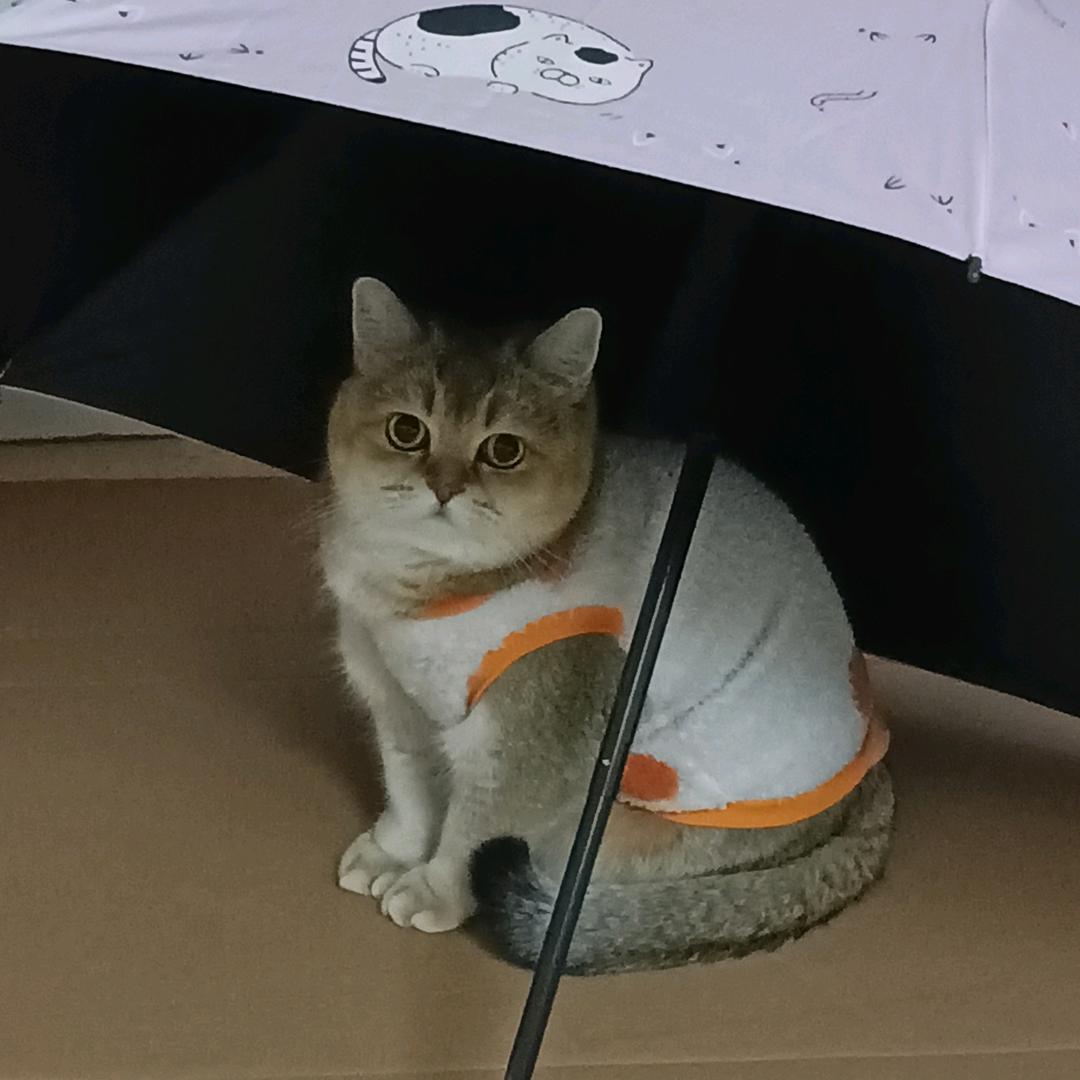八九