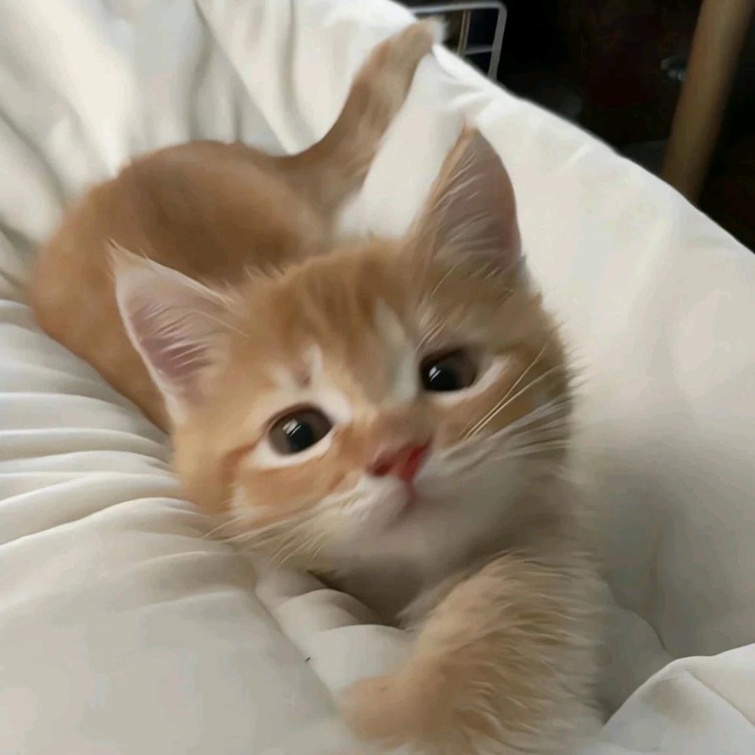 悅