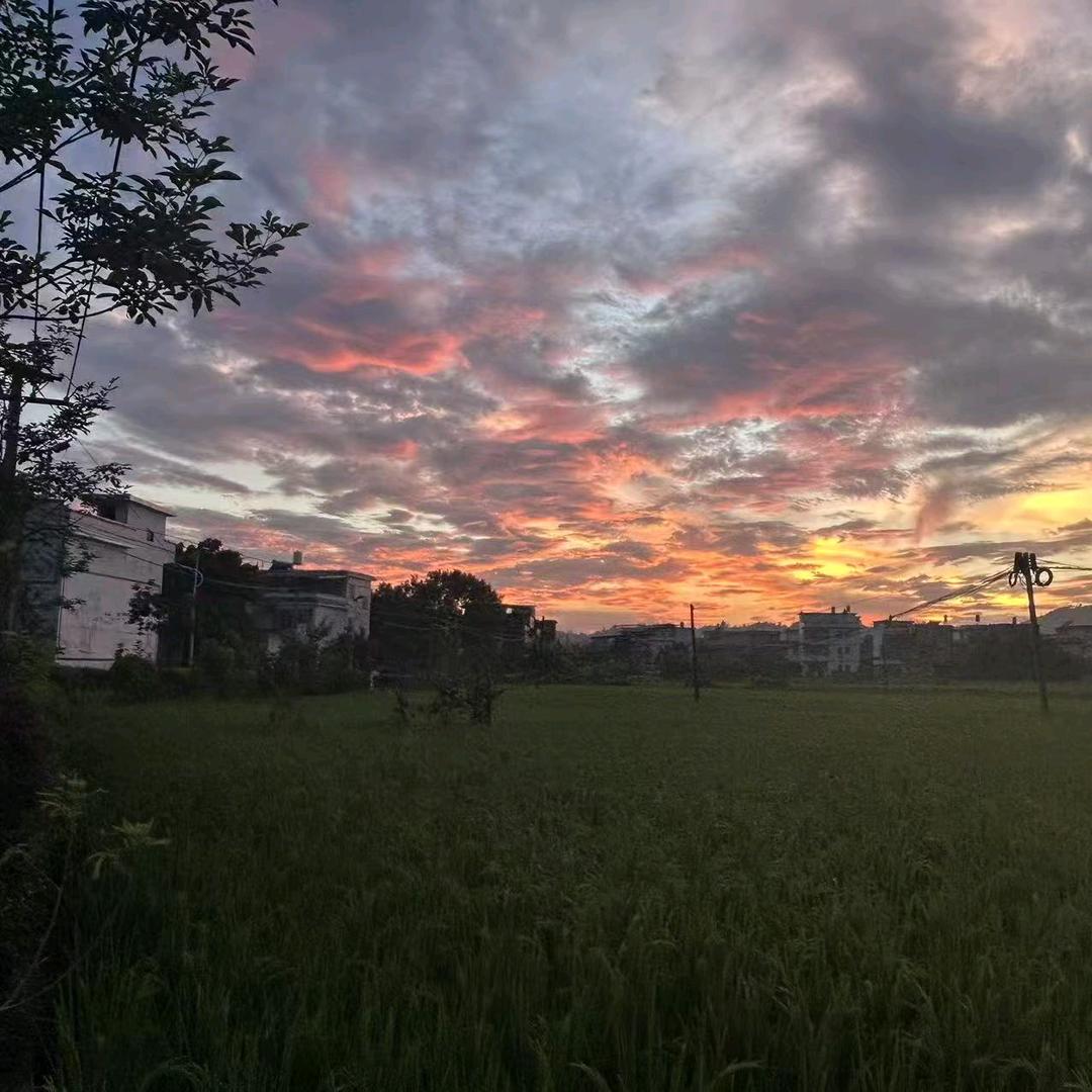 秋廷(皮皮)