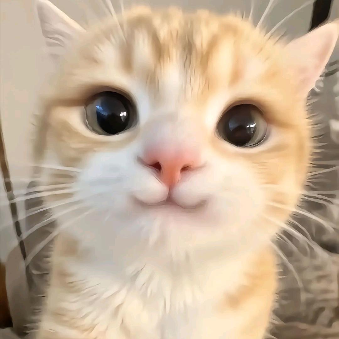 不苦。