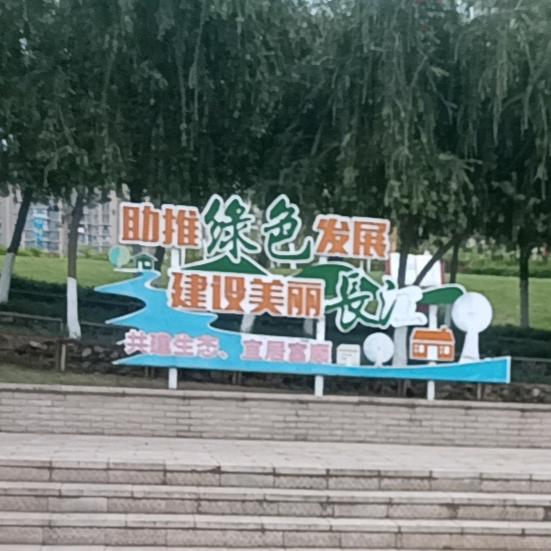 葱葱