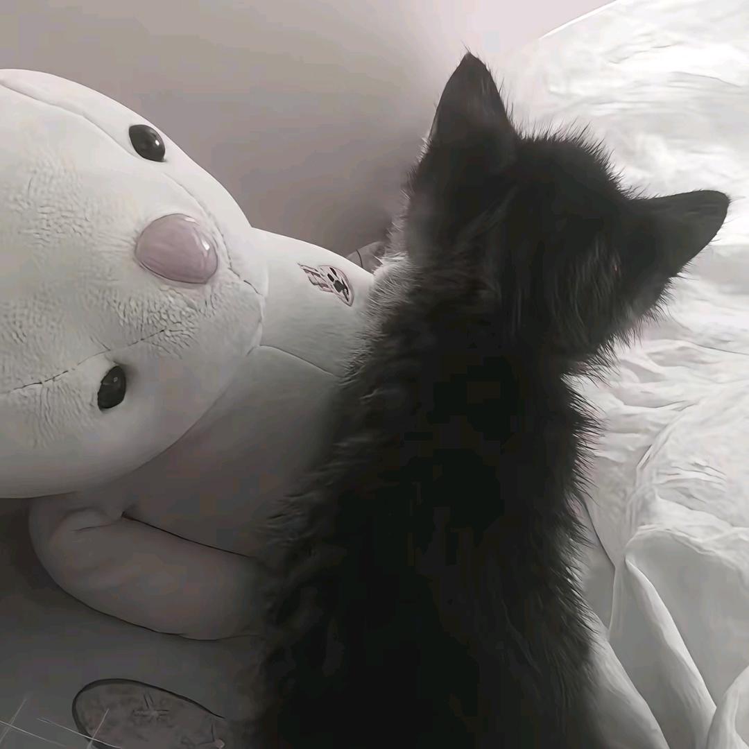 余生各自安好