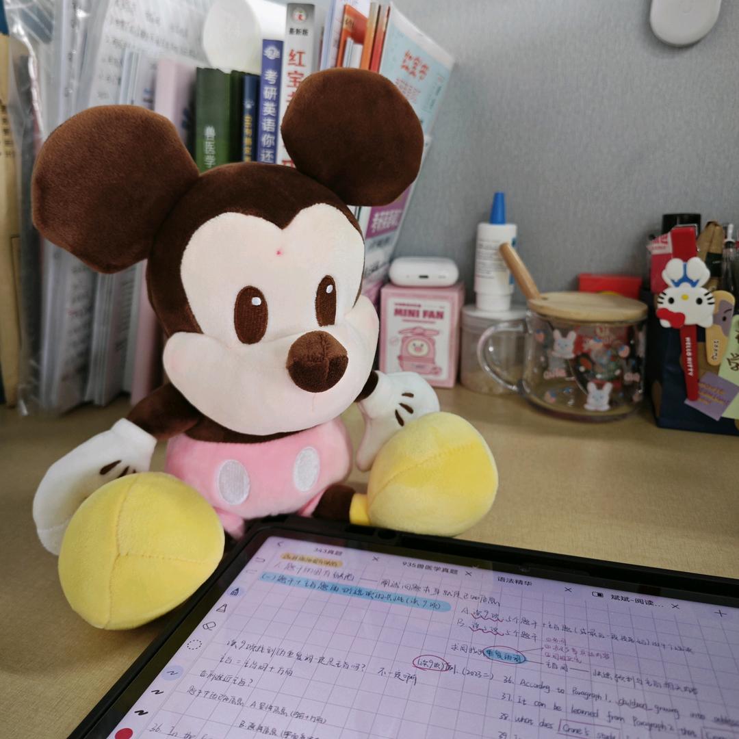 小雅要上岸
