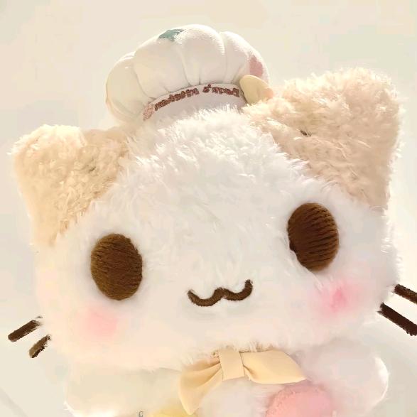 一只猫豆豆xixi