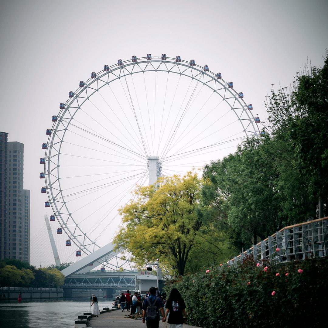 开往夏天的粉色挖掘机