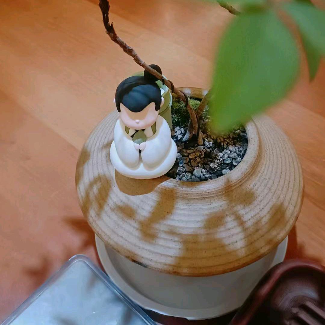 有钱花