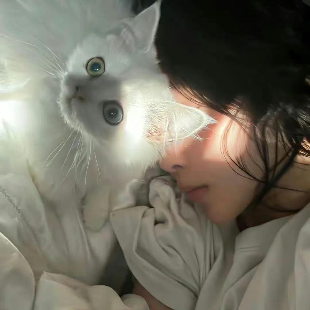 ᥫꪫᐝ柳柳