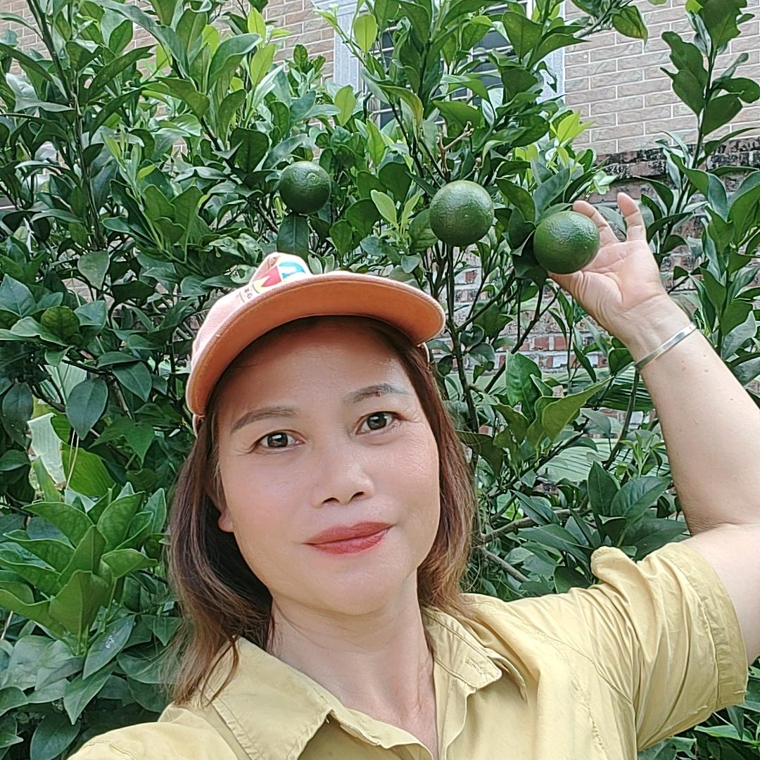 玲姐(唱歌)杂货店早上4点50