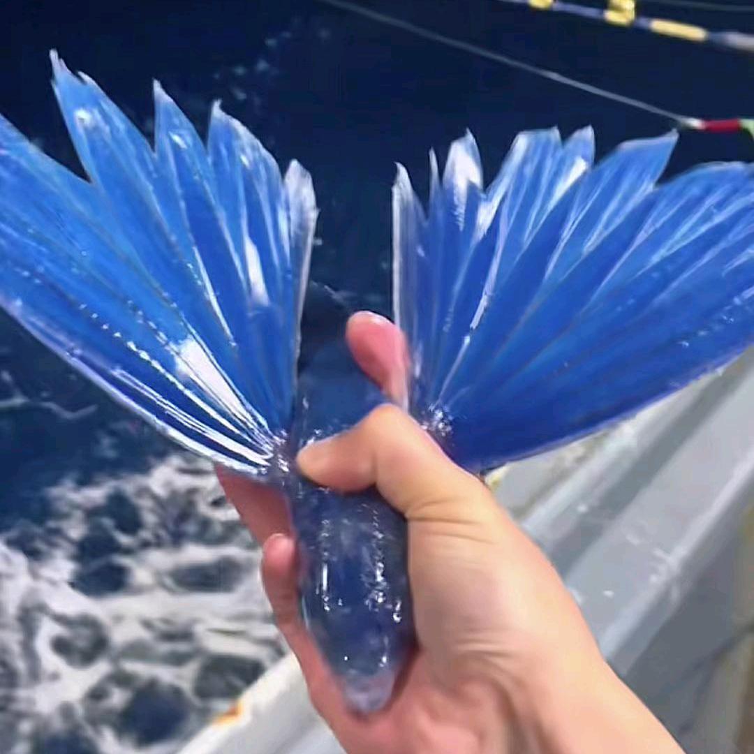 保健品