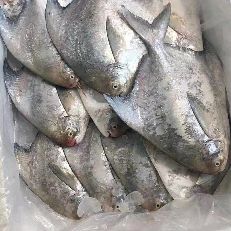 合和添发海产批发零售