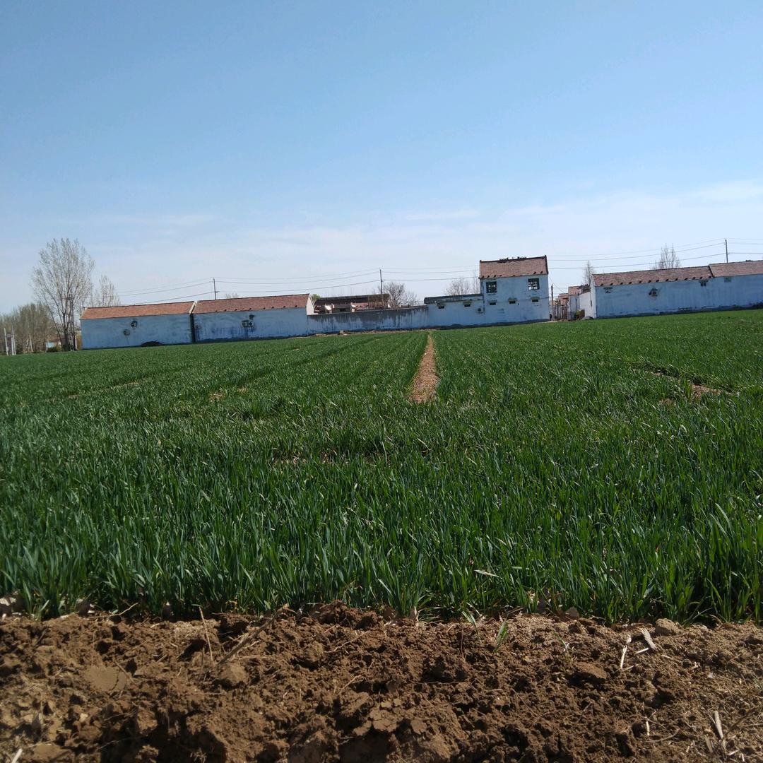 平平淡淡过一生