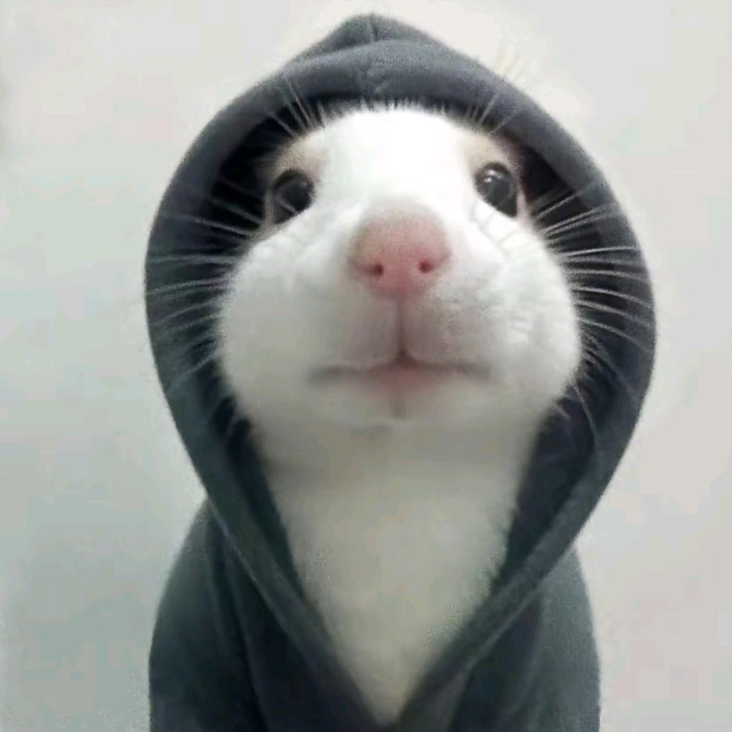 WAU