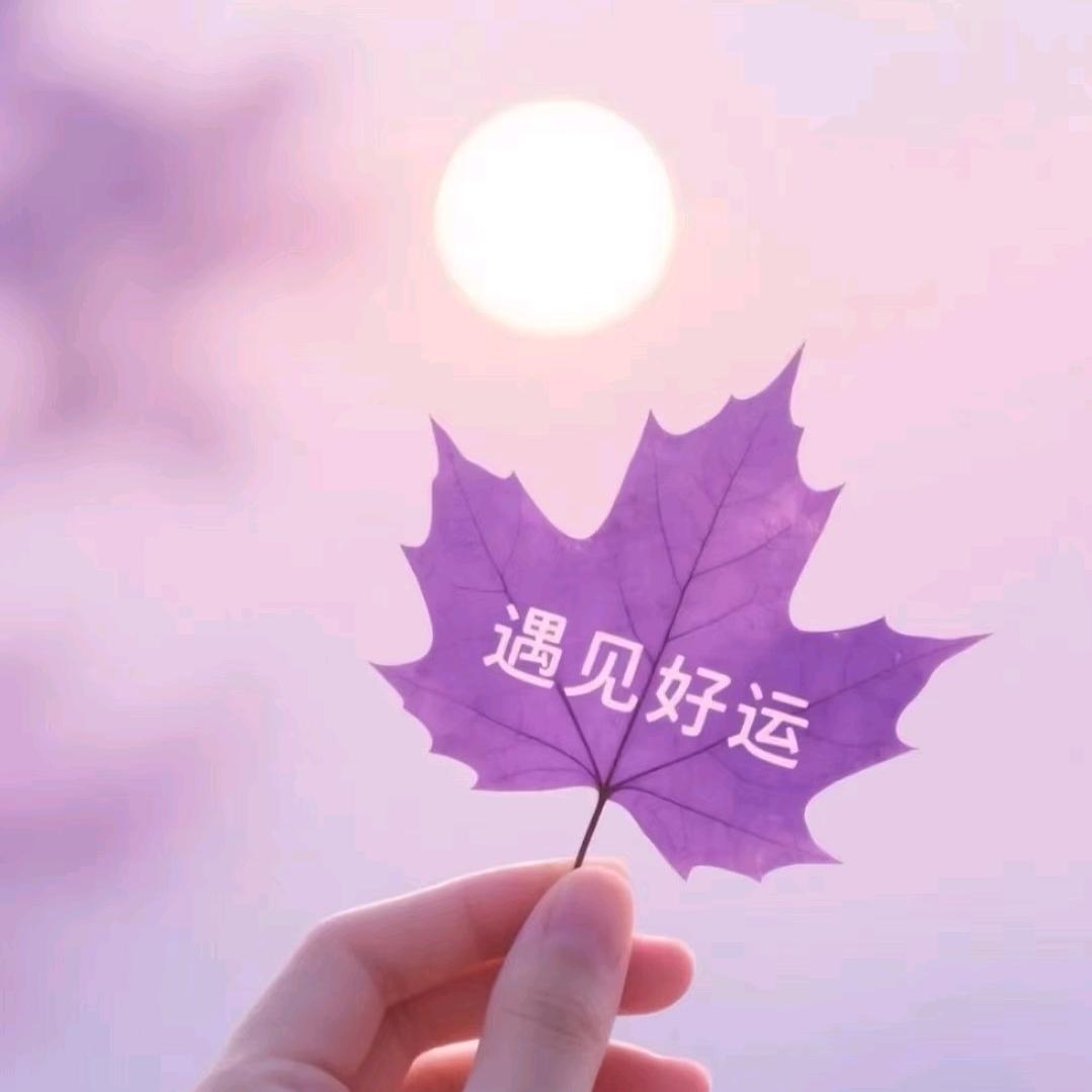半夏锦年