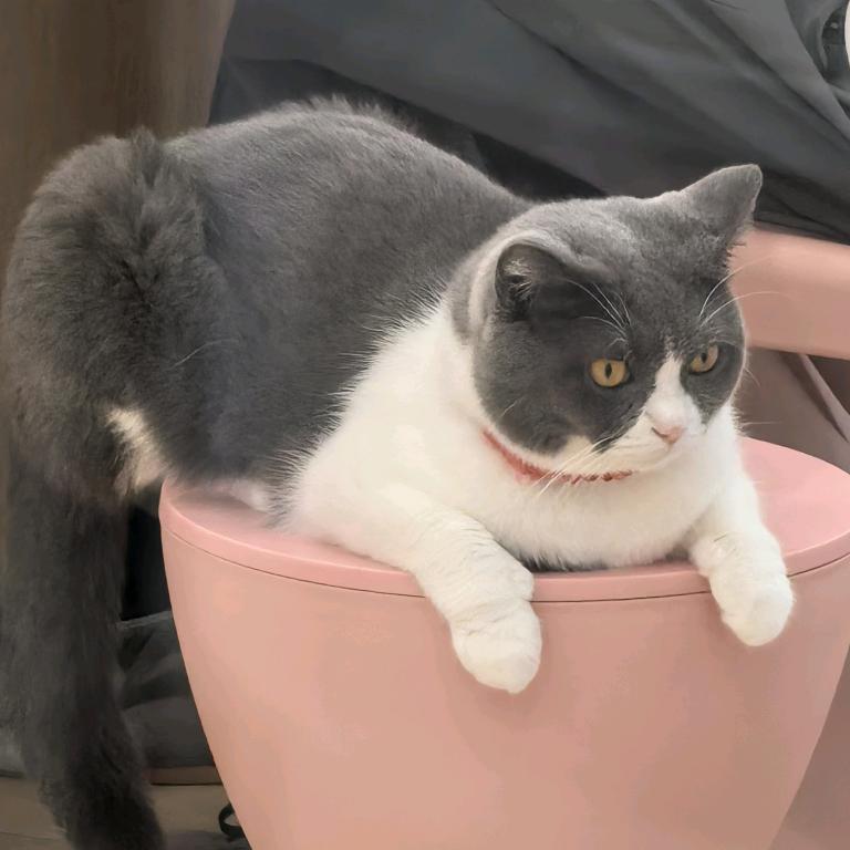 起风了…
