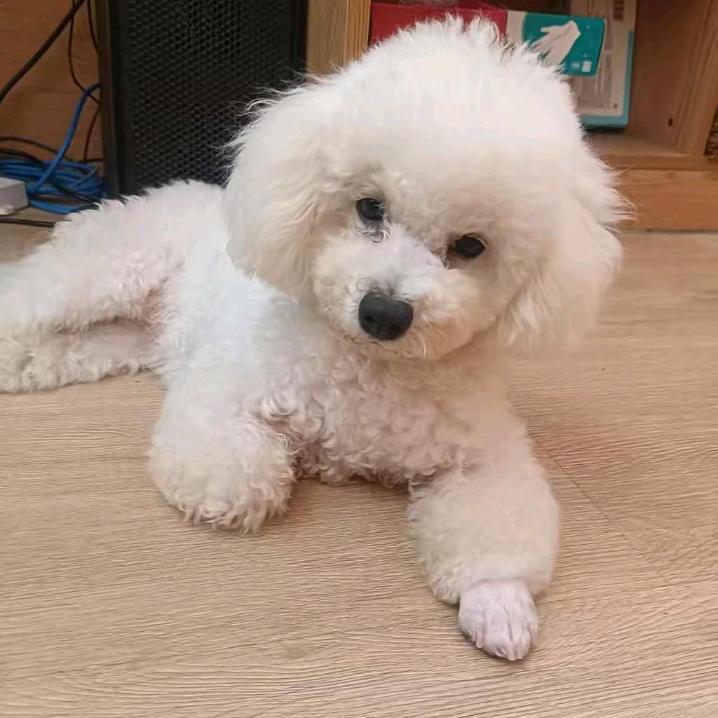 幸福🥰美女