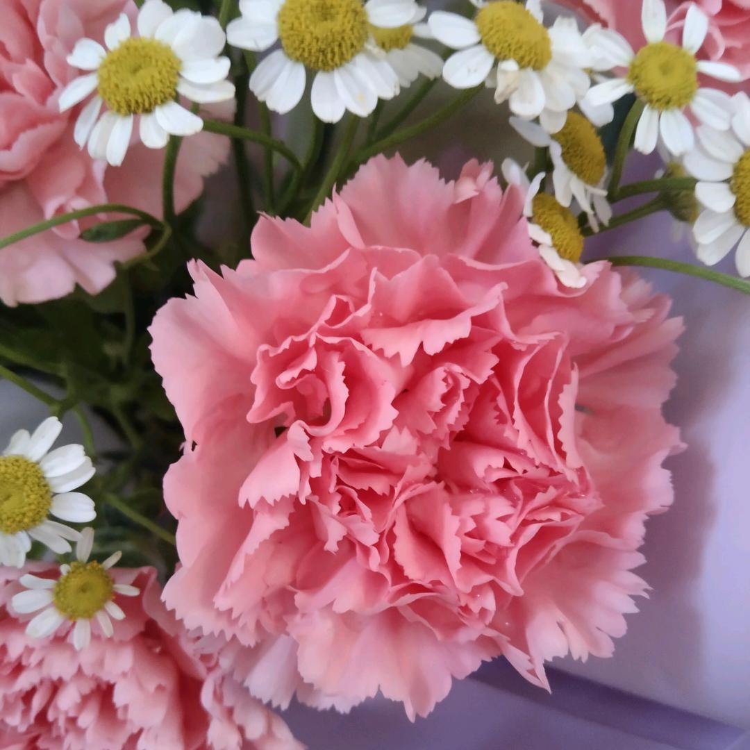 🌹开心就好🌹