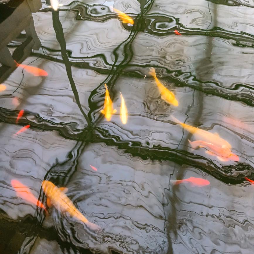 健康快乐每一天