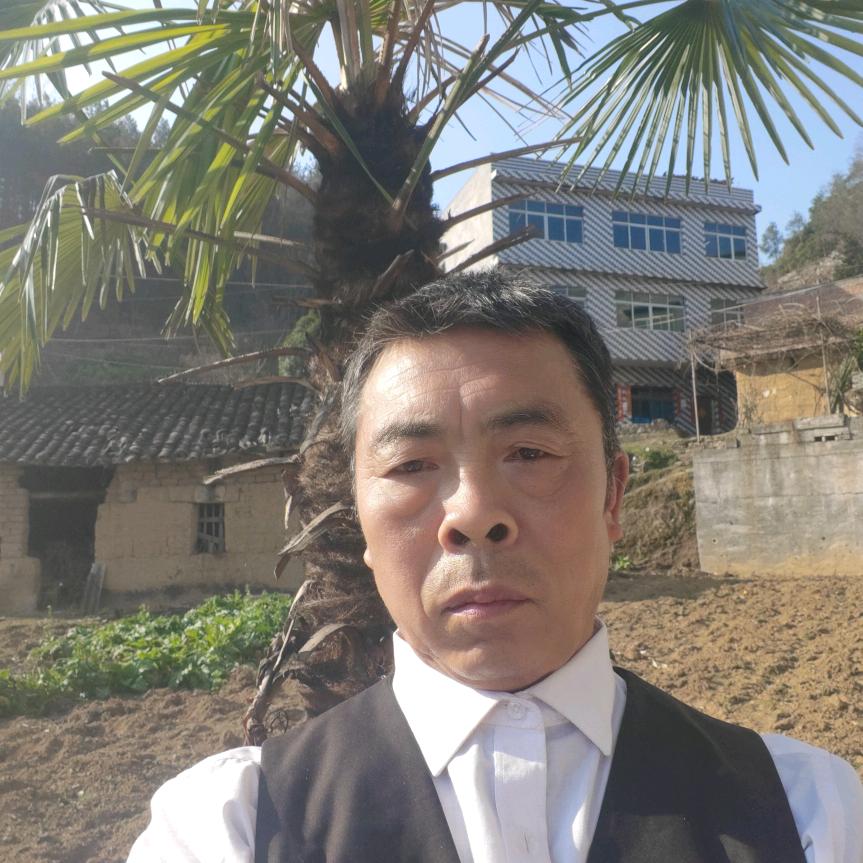 智能穿代分享星期二四六开播，