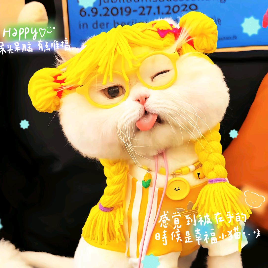 晔晔晔晔