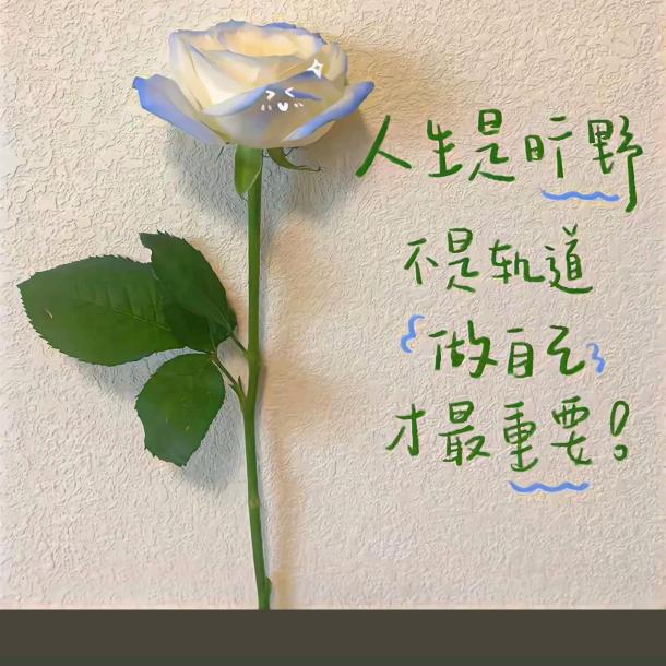 蓝眼泪