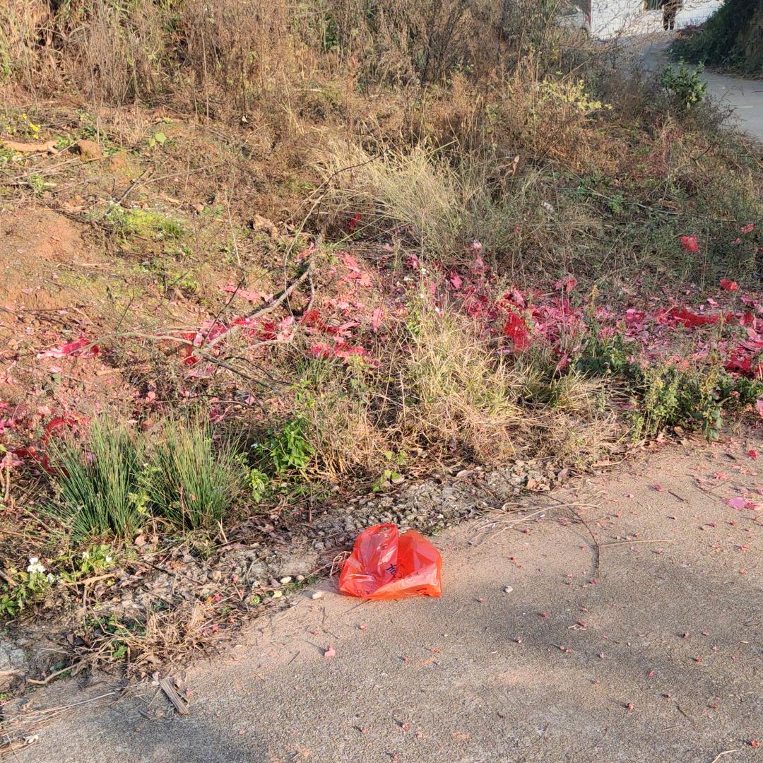 马月秋