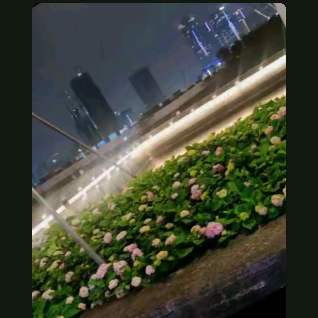 让心归零