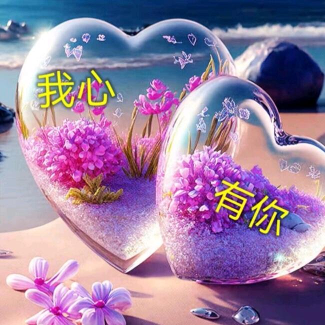 🇨🇳手心有依🇨🇳