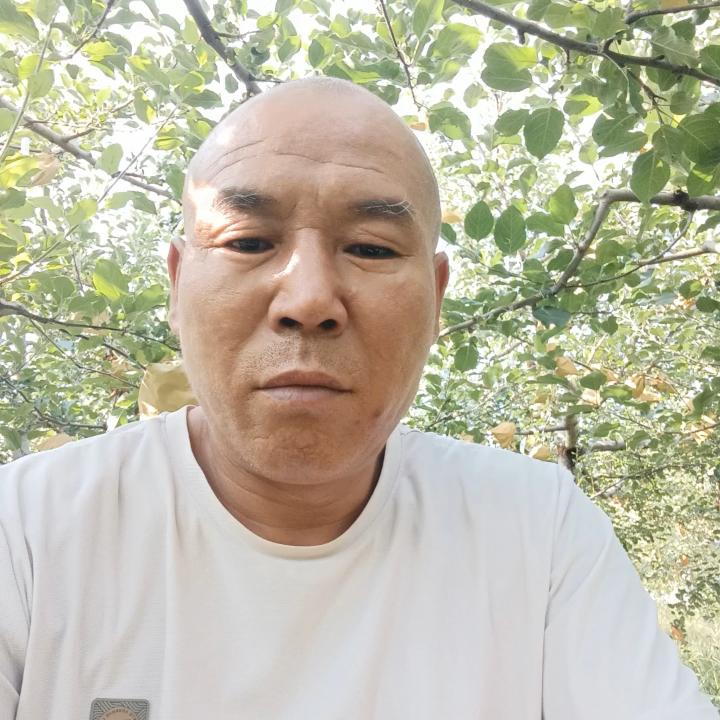 马踏飞燕