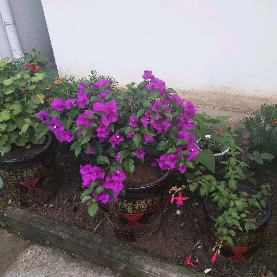 随遇而安☺️
