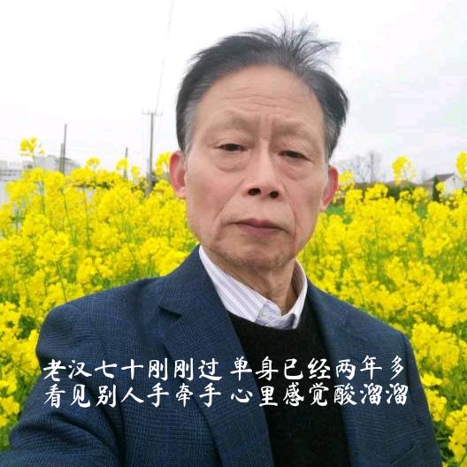 红杉树