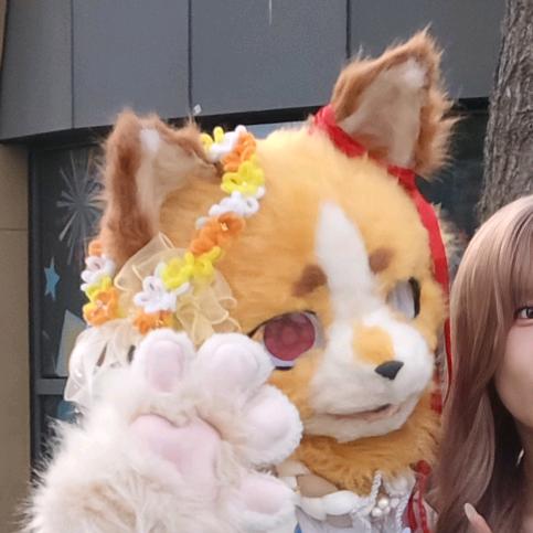 哈基安