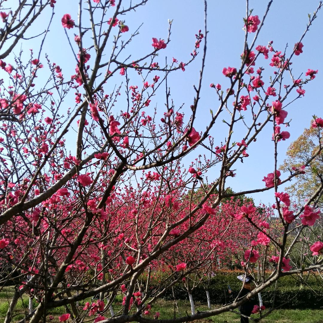 云朵☁️☁️☁️