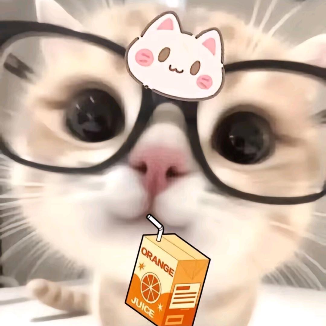 ٩(•̤̀ᵕ•̤́๑)ᵒᵏᵎᵎᵎᵎ