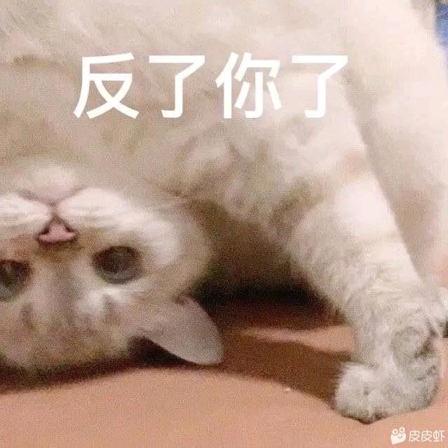 菜子发发