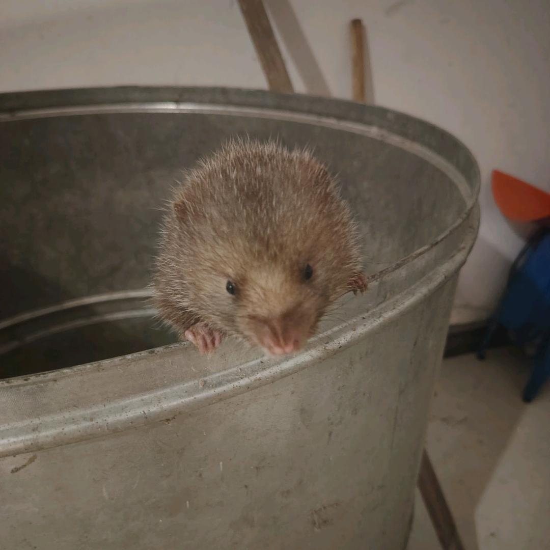 永不言败