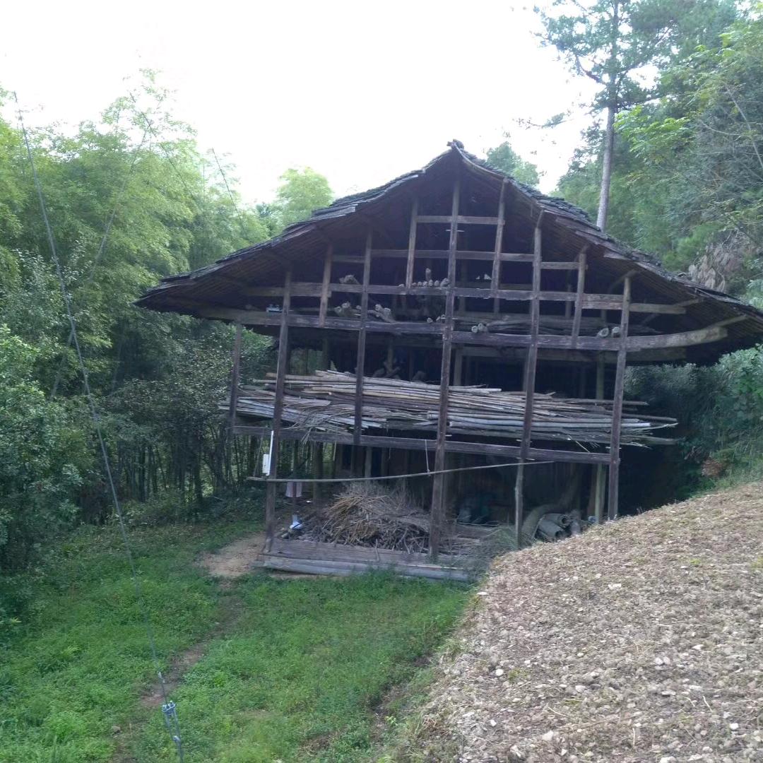 傻子哥