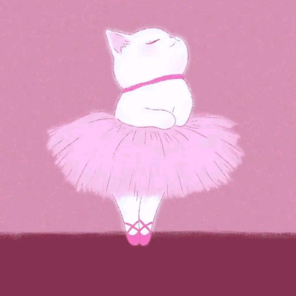 宋西西