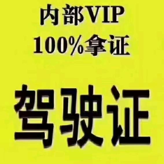 专收驾考困难户（小号）
