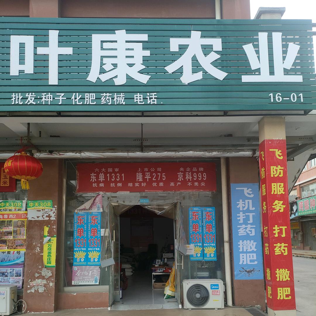 平原新区叶康农业