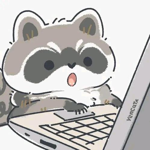 ShanT_浣熊（三角洲行动）
