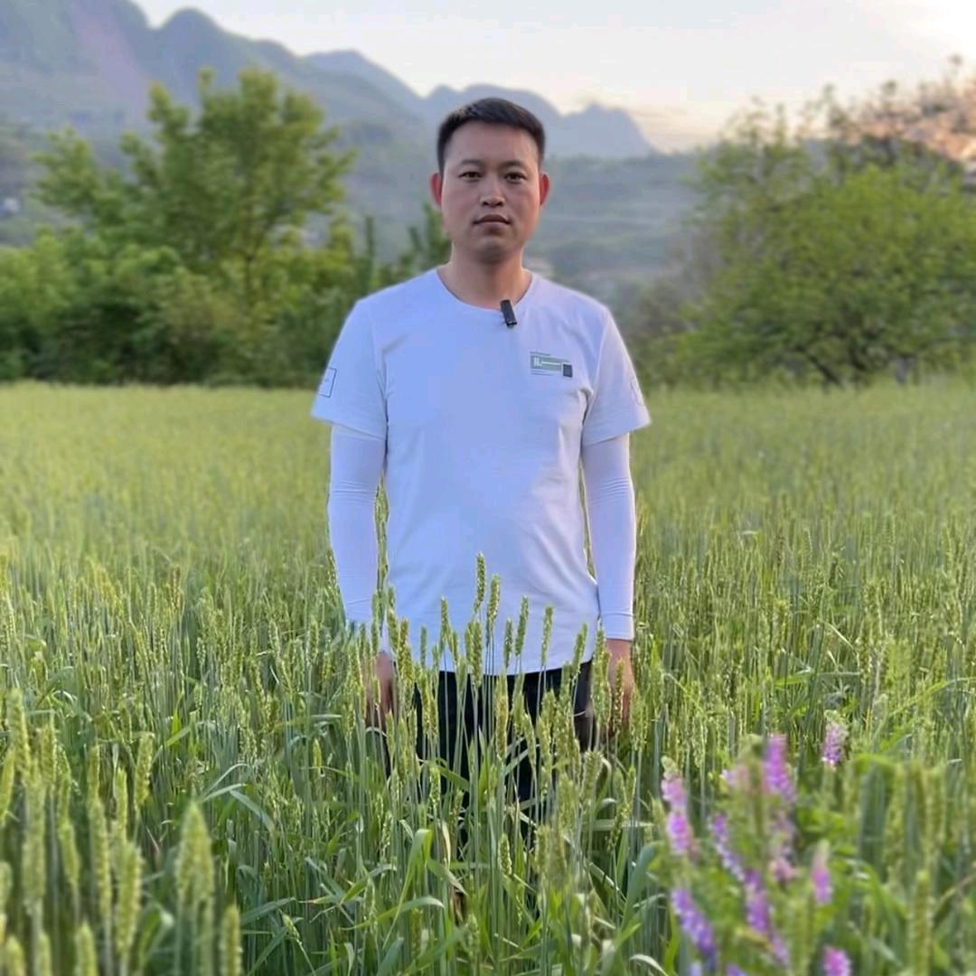 老万土特产